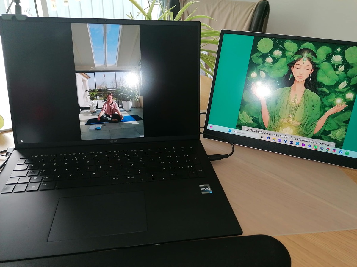 Installation du Yin Yoga en visioconférence avec double écran